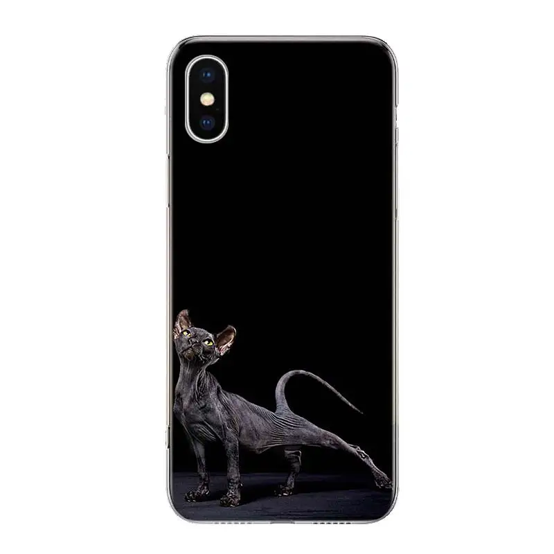 Lavaza Sphynx Sphinx Cat Case for iPhone 12 13 Mini 14 Plus 15 16 Pro Max 11 X XS Max Clear TPU Protective Phone Cover