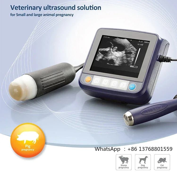 Veterinary Ultrasound Cat Dog Portable Laptop Type Veterinary Ultrasound