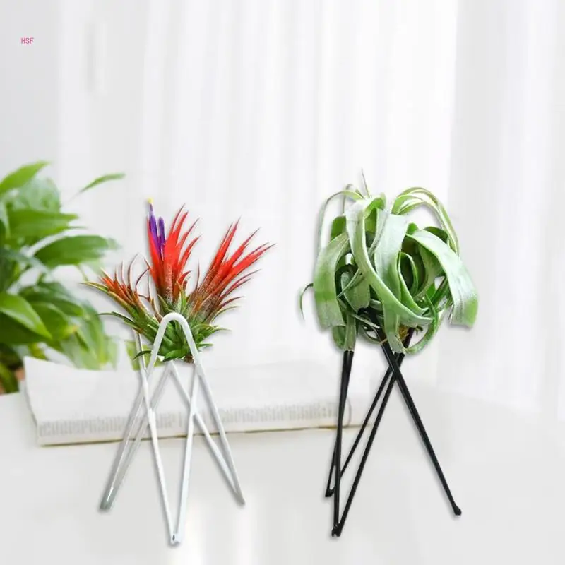 Air Plant Holder Metal Flower Pot Stand Geometric Iron Tillandsia Display Art