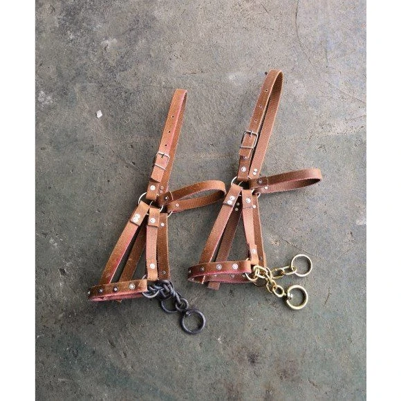 complete-set-training-equipment-bit-harness-lead-rope-for-young-middle-and-old-horses-equestrian-sport-supplies