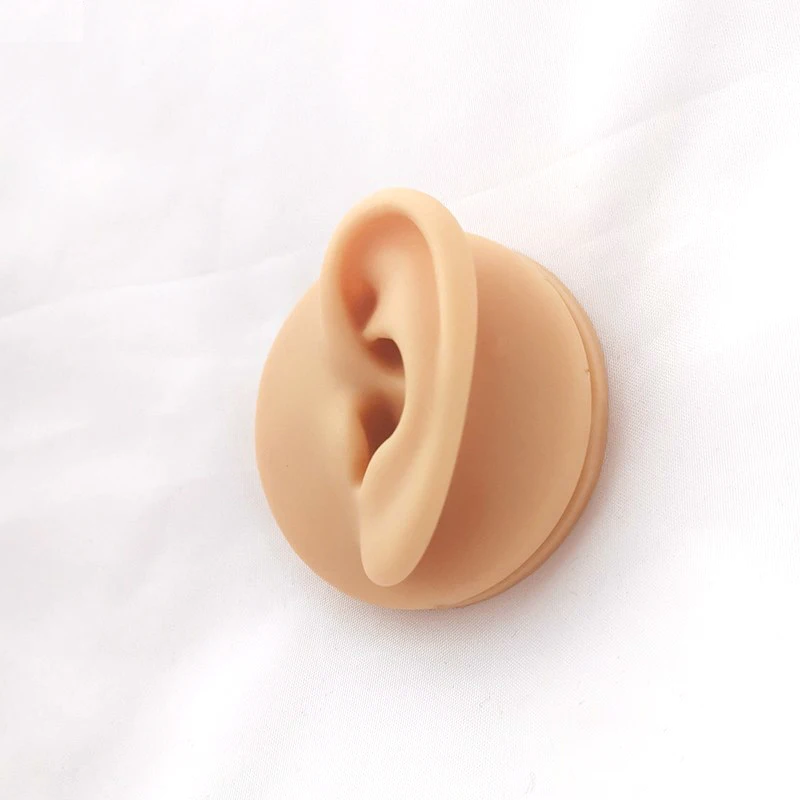 Silicone imitation human ear model perforation acupuncture and moxibustion ear point exercise teaching ear stud earring display