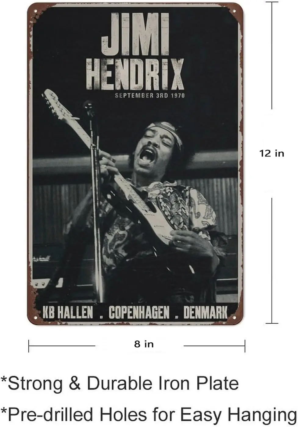 Dazkqbl Vintage Metal Signs: Jimi Aesthetic Hendrix Copenhagen Concert Poster, Retro Guitar Art - for Home Decor - 8x12 In