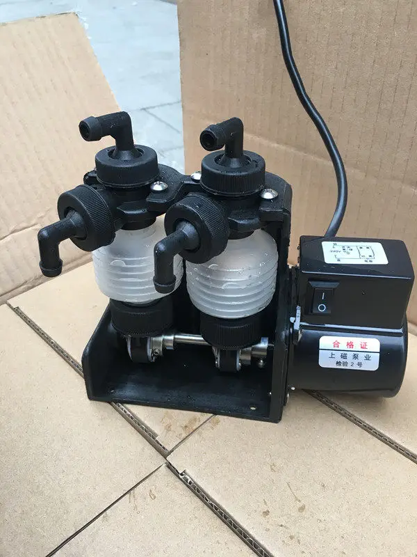 Double head rehydration pump 2DZ-2XU2ZEF metering bellows chemical liquid dosing  color expander  water treatment