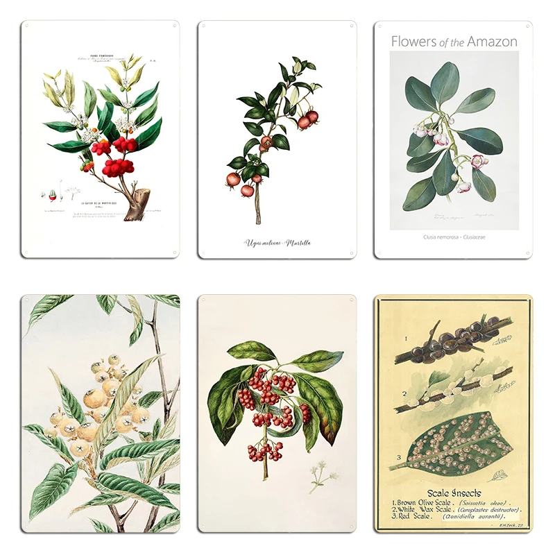 Le Cafier De La Martinique, bayas rojas, pétalos blancos, Amerique, Metal botánico, garaje, sala De estar, Club impreso, cartel de estaño