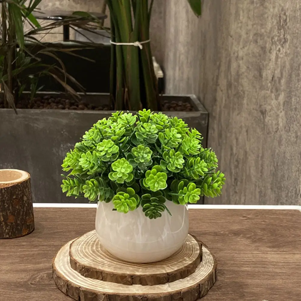 نبات بونساي اصطناعي واقعي في و - مراجعة Bonsai Garden And Cafe وسعره
