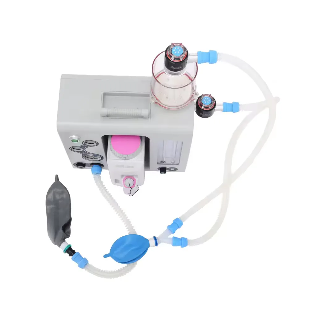 High Quality Professional Vaporizer Por For Veterinary/human Use