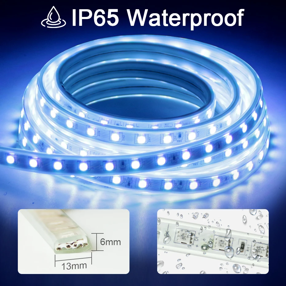 Tuya WIFI Bluetooth IR Remote RGB LED Strip 220V Waterproof IP65 1m To 50m SMD 5050 60 Leds/M Flexible RGB LED Ribbon Rope