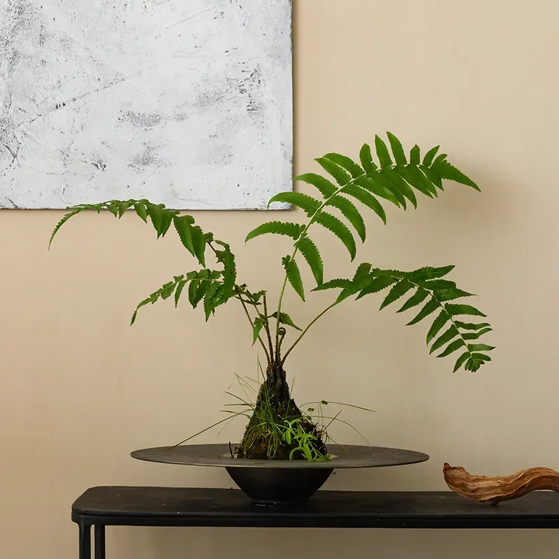 Modern Chinese Style Matte Ceramic Decorative Bowl for Living Room Porch Home Ornament Elegant Flower Vase Model Room Decor