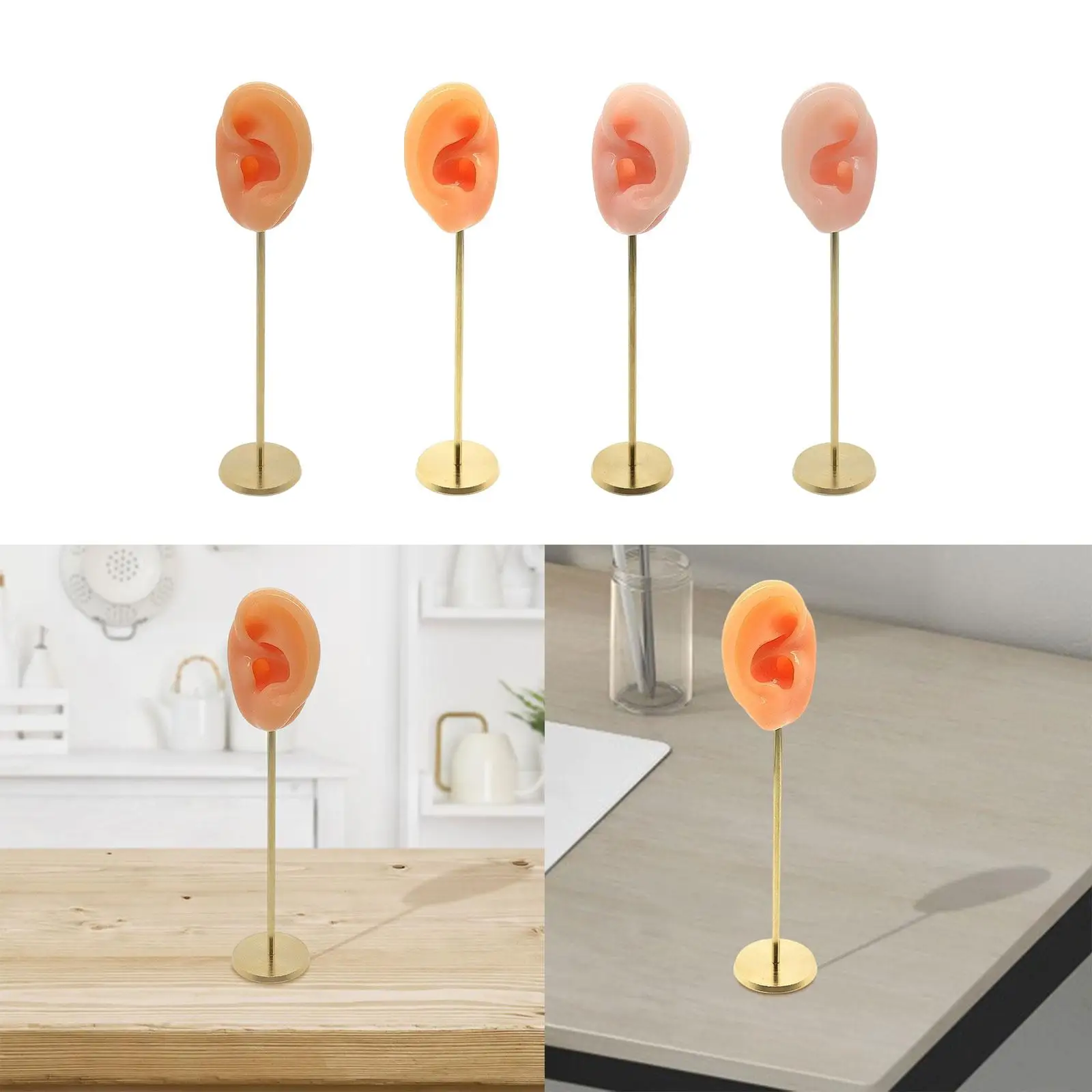 محاكاة سيليكون قوالب الأذن البشرية التصوير عرض الدعائم سماعات الأذن عرض موقف الأذن نموذج مسمار حامل عرض نموذج #4