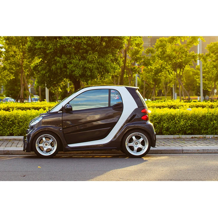 Darwin PRO BSM Style Portion Kohlefaser-Karosserie-Kit Für Mercedes 08-14 Smart ForTwo