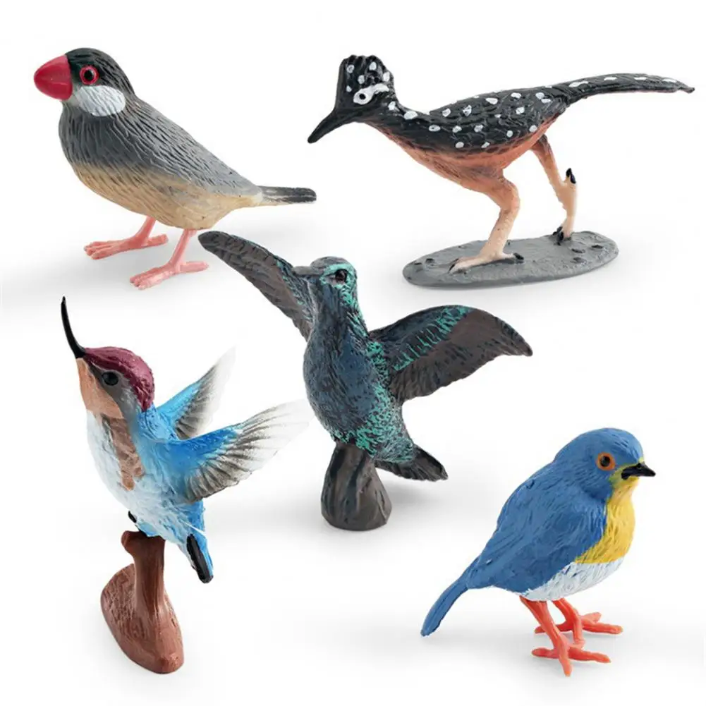 Roadrunner Model Toy Realistic Bird Figurine Set Roadrunner Hummingbird Robin Model Educational Flying Toys for Kids Cake Topper