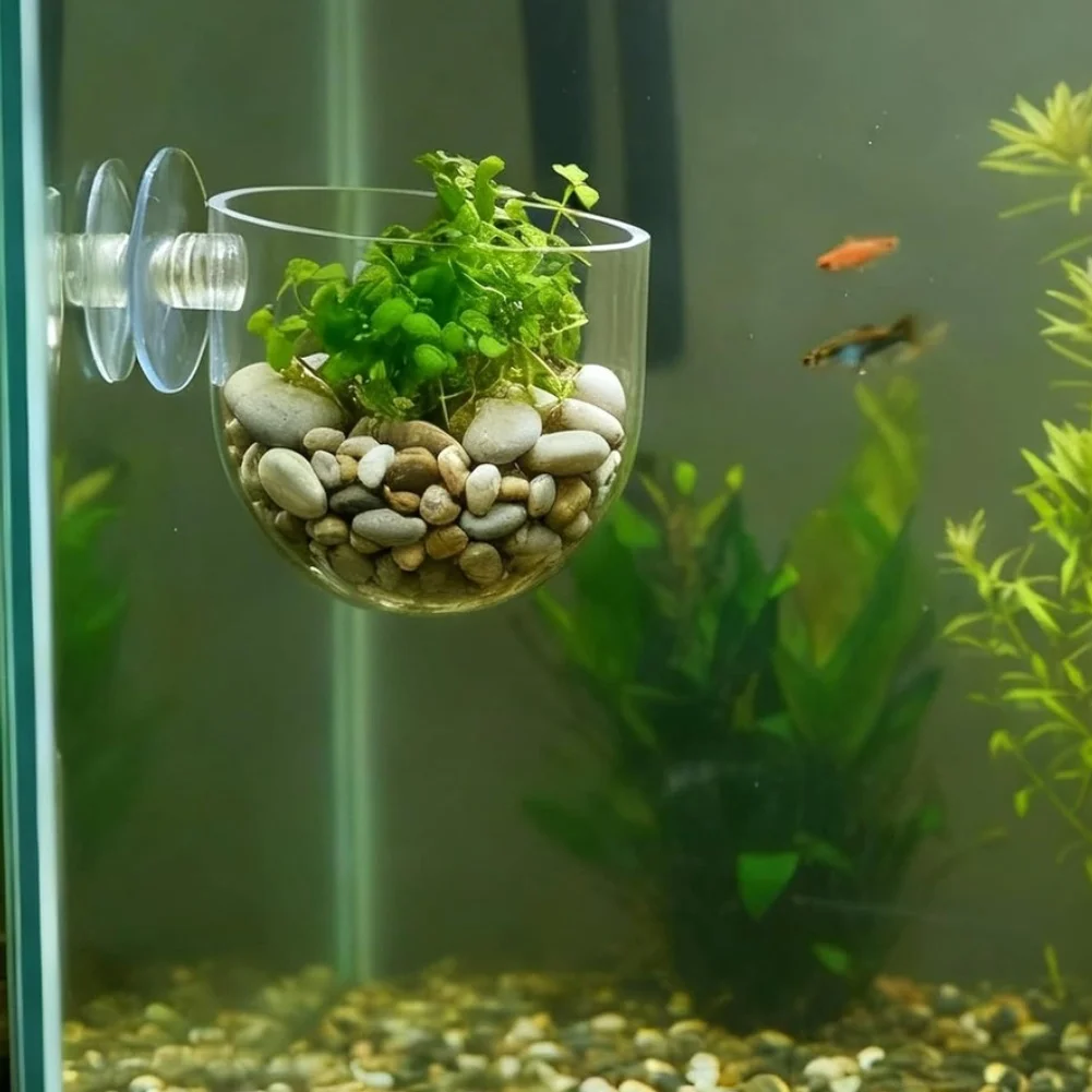 ABS Plant Holders for Aquariums 9pcs 3.5cm x 4cm Suction Mount Design For Aquascape Accessories for Aquatic Plant Display