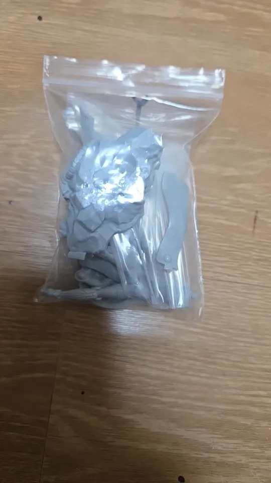 Buyer photo of this resin kit