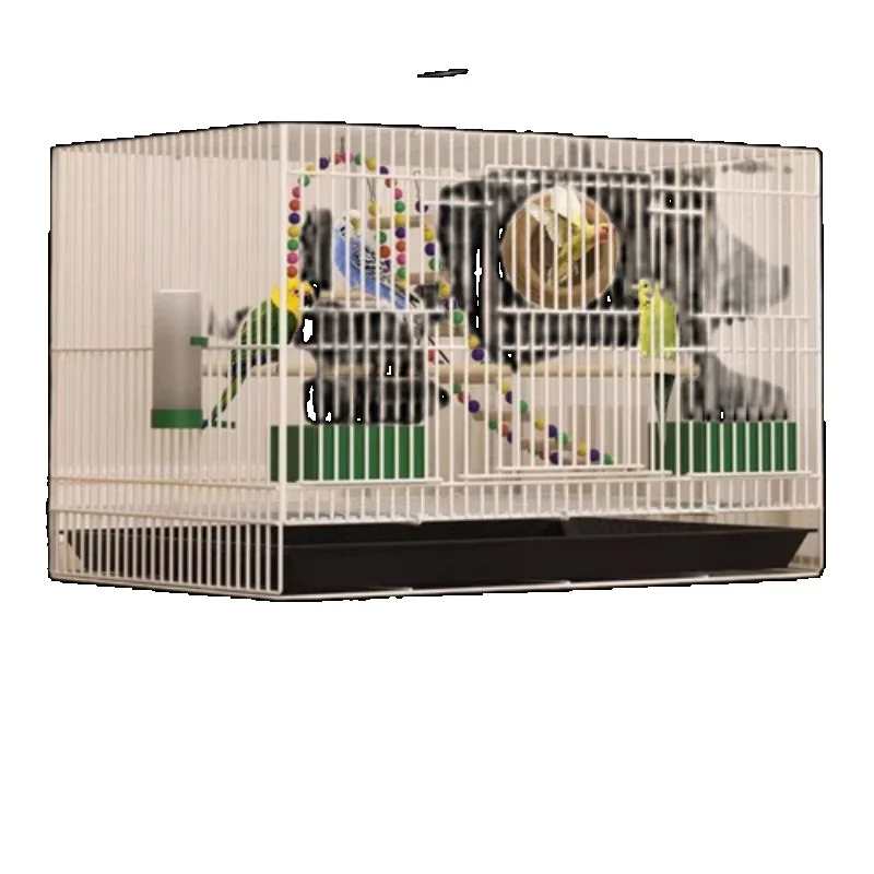 Cute Budgie Feeder Bird Cages Parrot Decoration Portable Outdoor Bird Cages Habitat Canarios Accesorios Bird Supplies