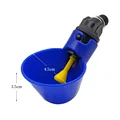 Blue Bowl