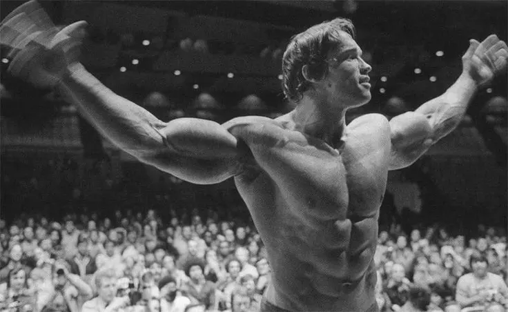 Arnold Schwarzenegger Film The Terminator Zijden Poster Op Maat Gemaakt Decoratief Wandpaneel voor Thuis