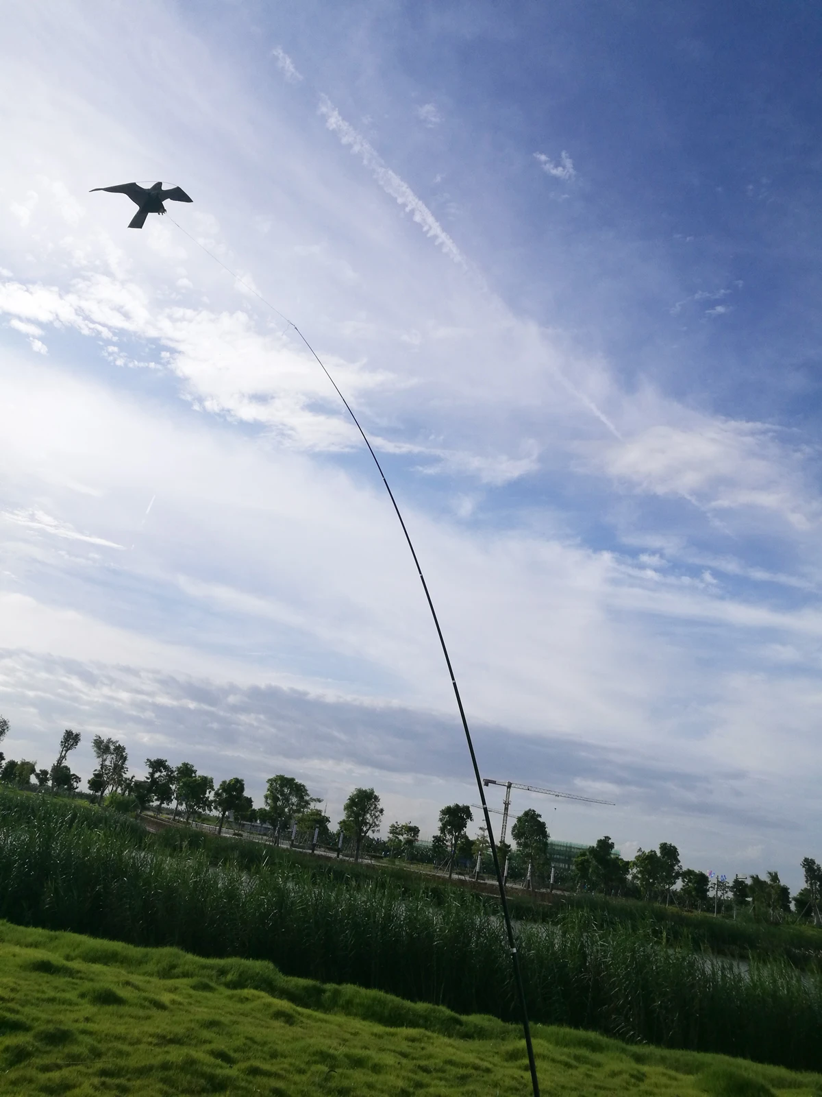 Hawk Kite great as a Bird Scarer Scarecrow Performing Bird Control for Home and Garden-Black(Pole not include)