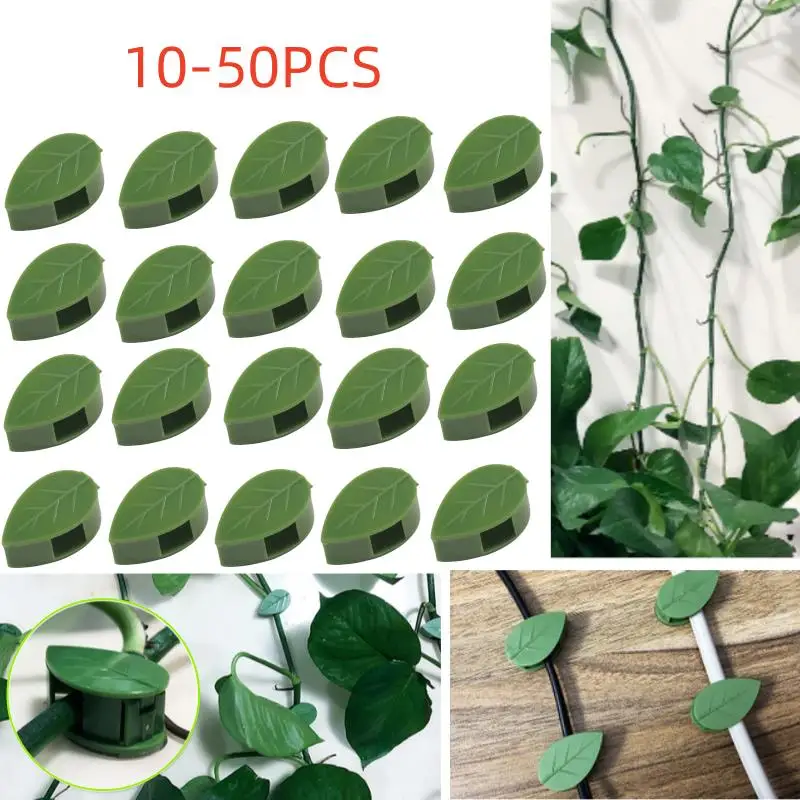 

10~50pcs Invisible Plant Climbing Wall Fixture Rattan Vine Bracket Fixed Buckle Leaf Clips Traction Holder Garden Plant Support