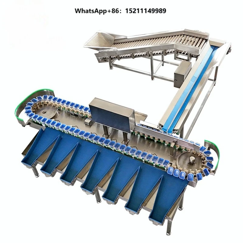Fruit Vegetable Weight Grading Machine  Custom 3-18 Grades Easy to Operate 160-280pcs/min