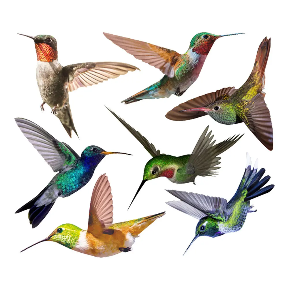 7Pcs Hummingbird Wall Sticker PVC Decals Self adhesive Decorative Animal Window Clings Indoor Scene Bird Decor