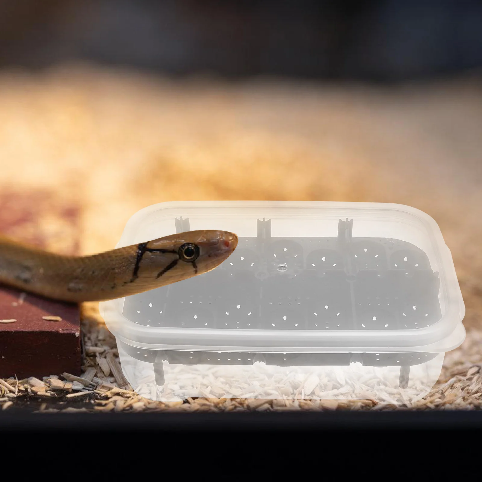 

14 Holes Reptile Breeding Box Sturdy Durable Egg Incubator for Reptile Pets Easy to Carry Clean Manage Gift Hatchery Box