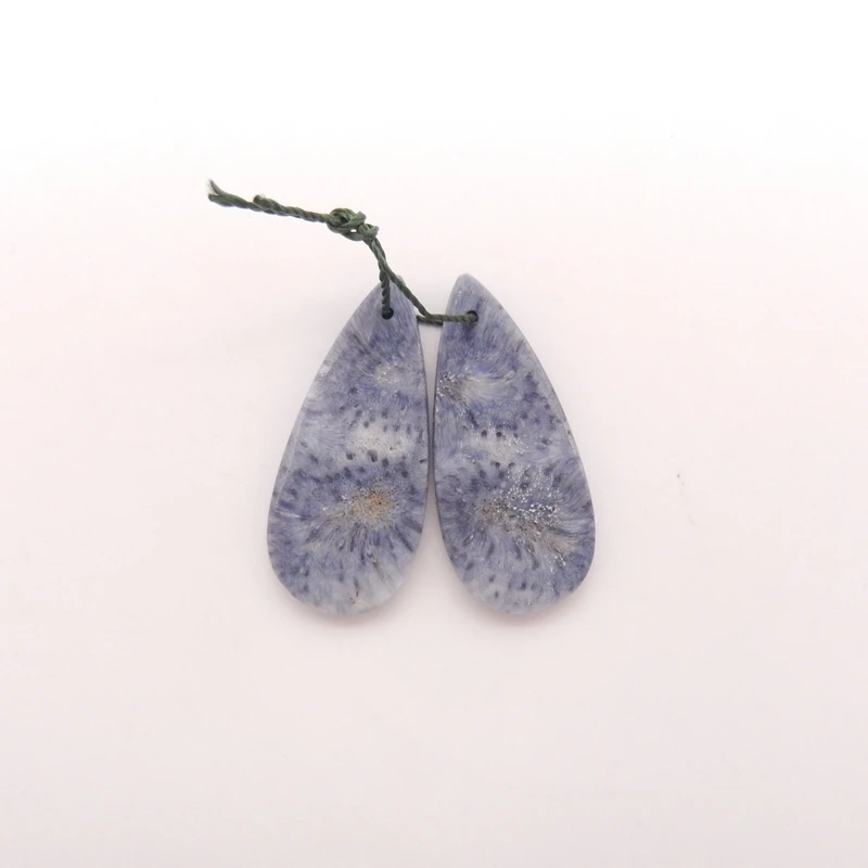 contas-de-coral-azul-natural-para-brincos-perfuradas-na-frente-36x16x4mm-par-combinado-acessorios-para-fabricacao-de-joias-presente-ideal-para-ela