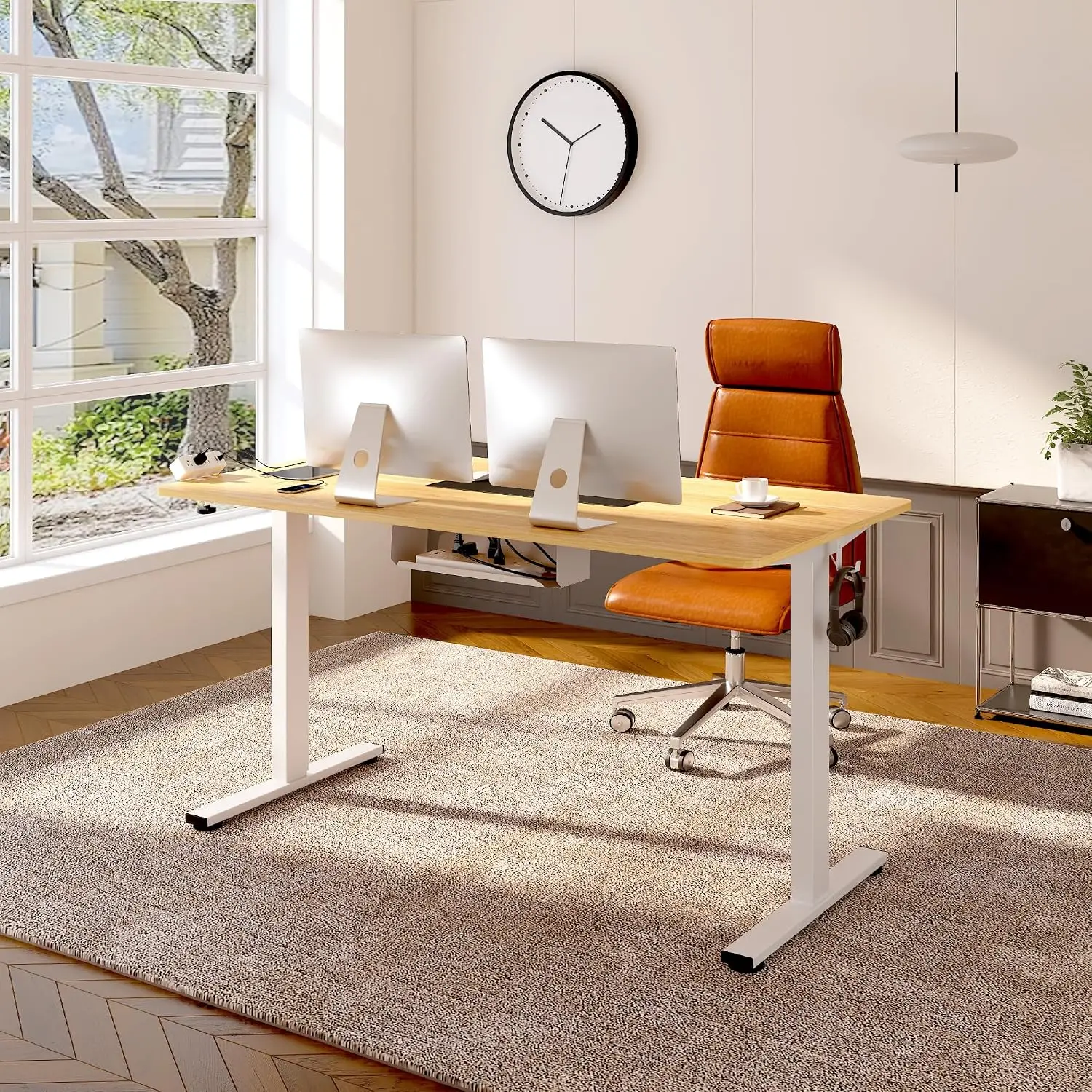 Height Adjustable Electric Standing Desk 60x24 Inch Whole-Piece Desktop with Power Strip, Customized