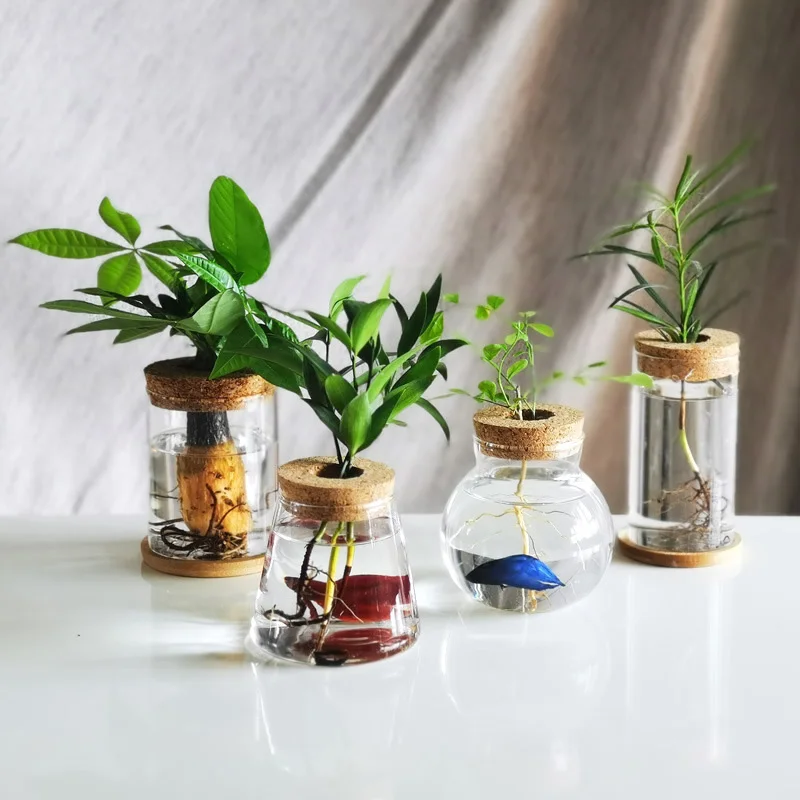 Mini hydroponiczna doniczka przezroczysta szklana wazon na rośliny Terrarium w stylu Vintage salon dekoracja do domu stół biurowy