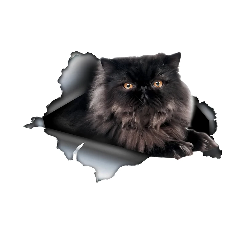 

DK485# Car Stickers for Black Persian Cat Hidden in Holes, Waterproof Irregularly Shaped Car Decoration Decals