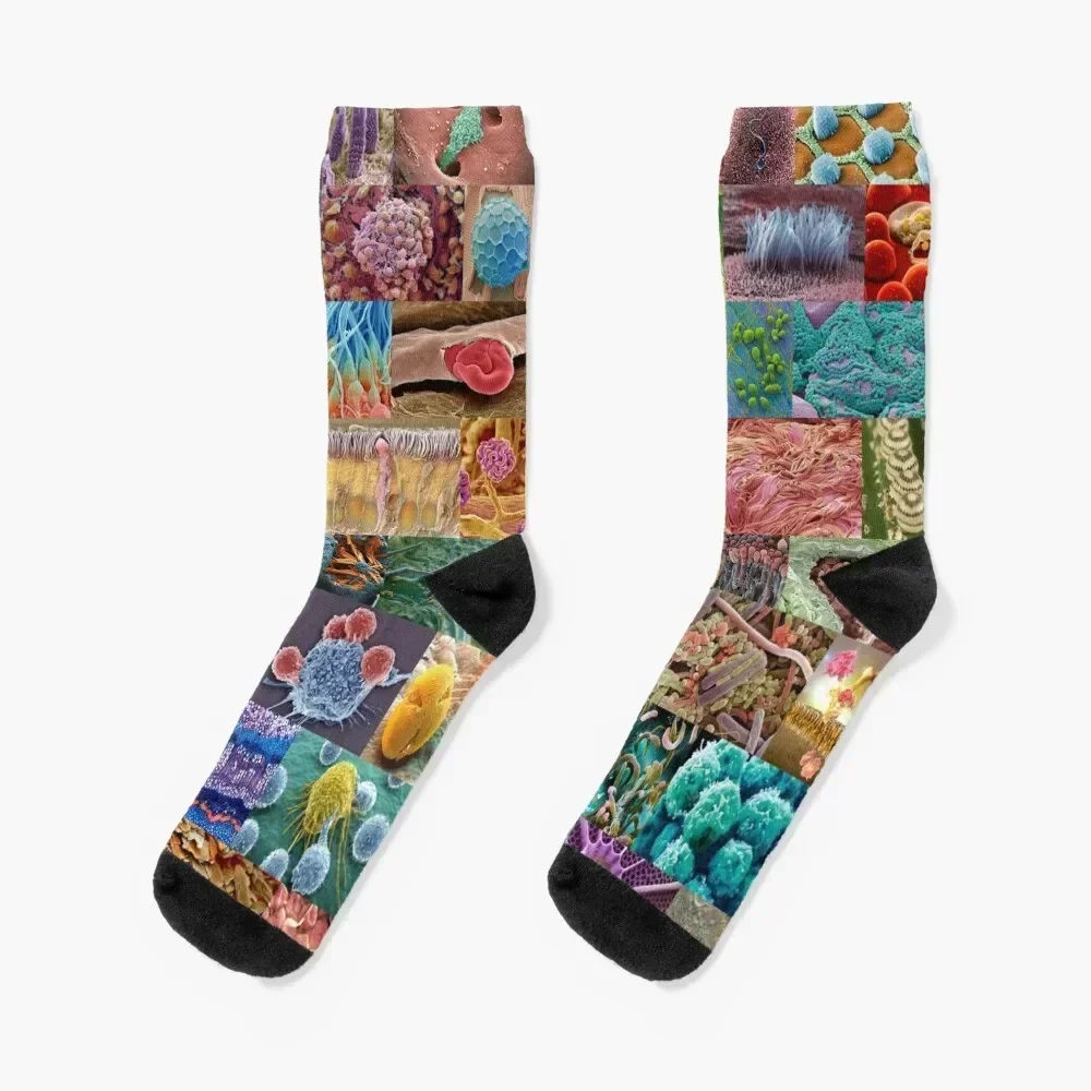 

Electron Microscope Socks colored Toe sports moving stockings Boy Socks Women's