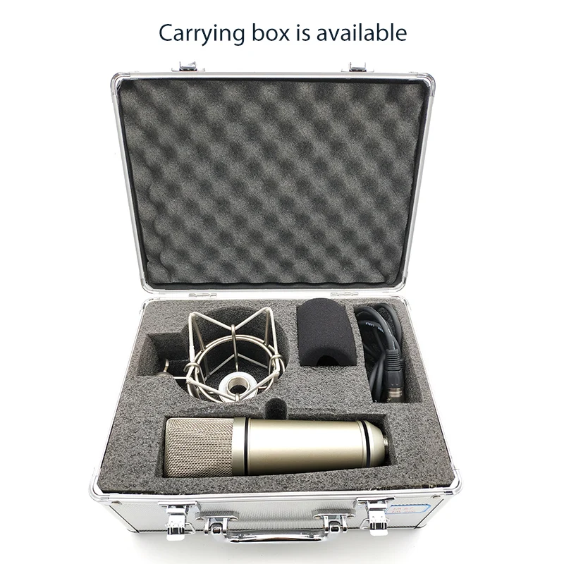 OEM Professional Large Diaphragm Metal Wired Singing Condenser Microphone For Studio Recording