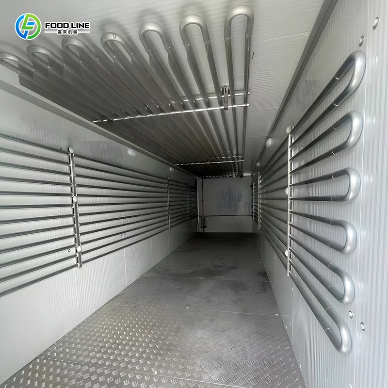 Factory Sale Container Cold Storage Room Walk in Cooler Freezer Ice Storage for Supermarket Factory FL Customized