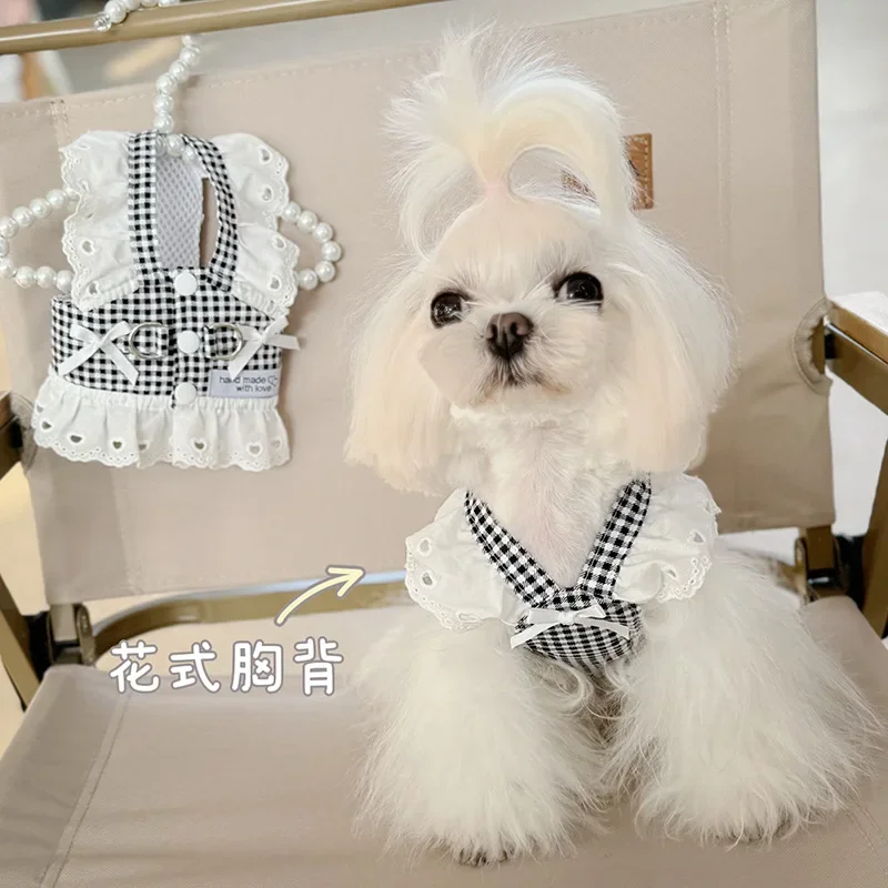 #36 Latest Dog Apparel Offers