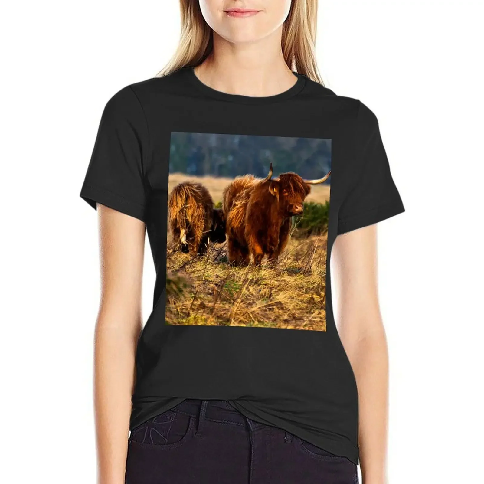 

Highland cow and her calf T-Shirt summer clothes female plus size t shirts for Women loose fit