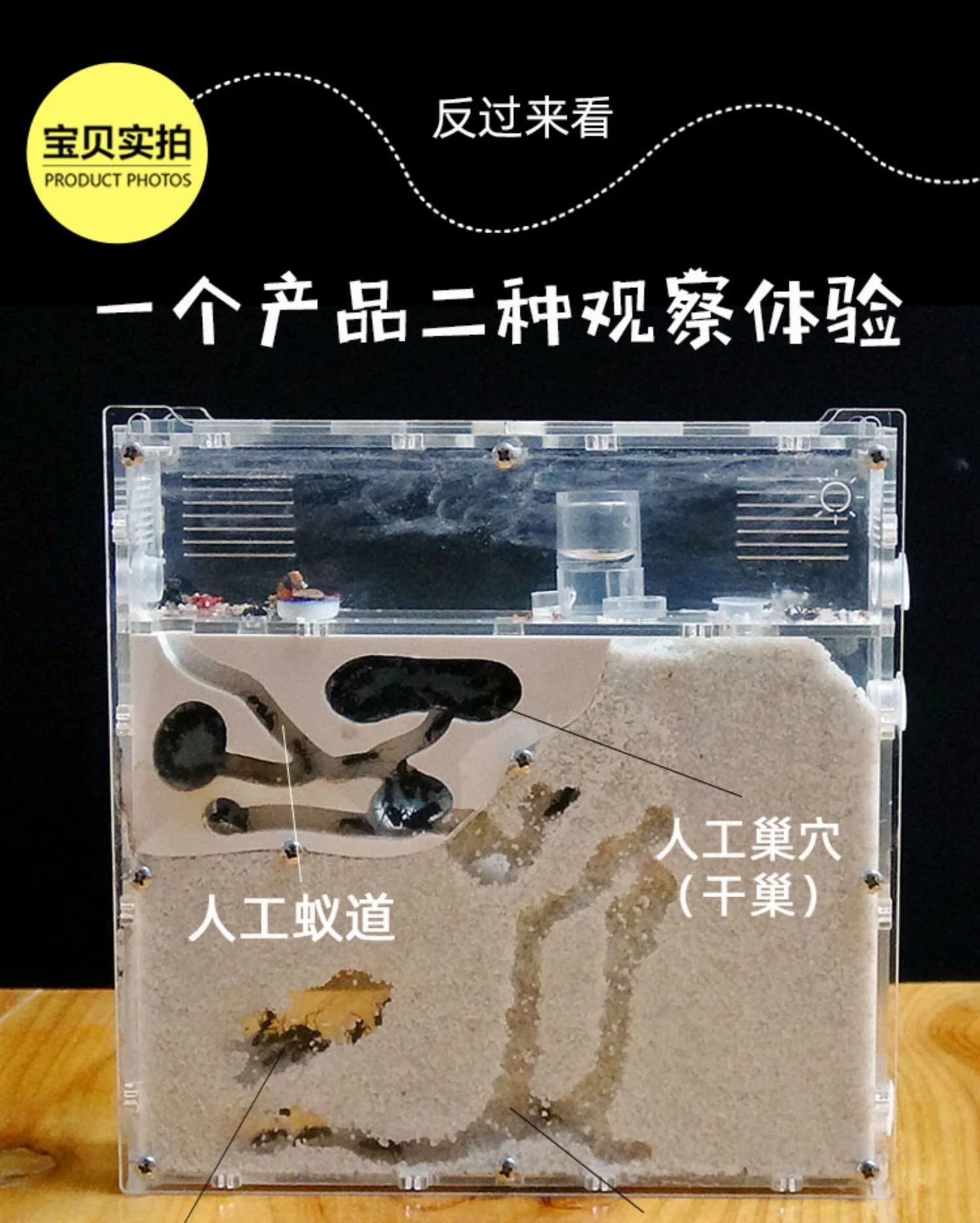 

Ant Ecological Box Ant Workshop Sends Ant Manor Queen Ant Castle Sand Nest Sand Castle Raising Ants