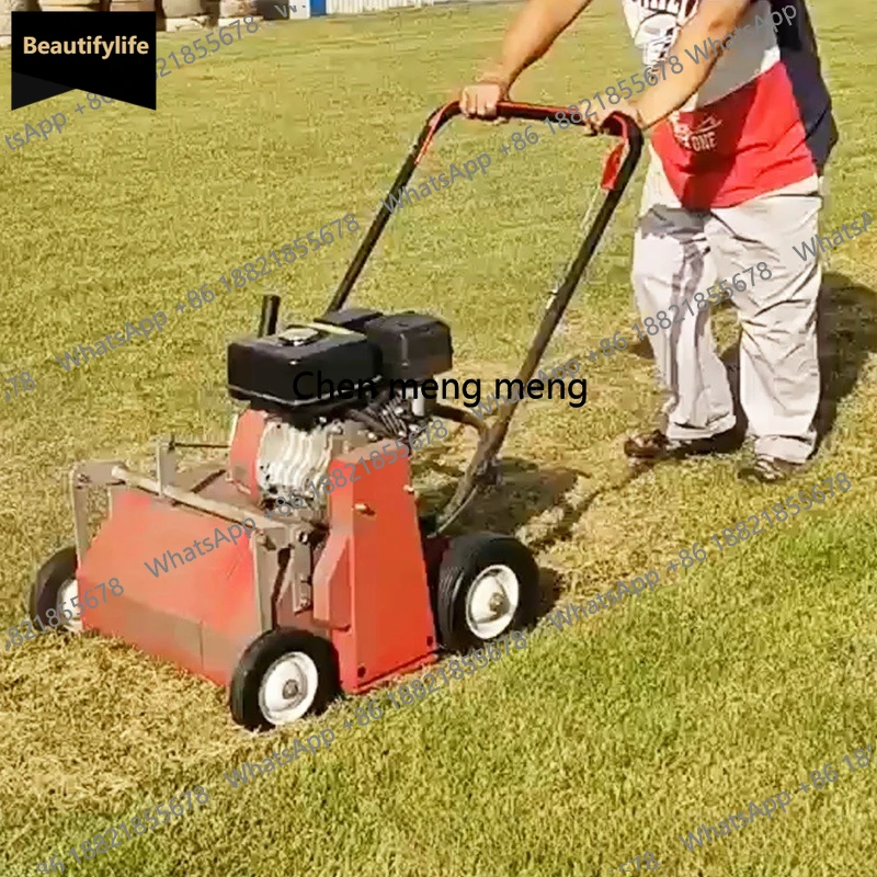 

Садовый комбайн для ухода за газоном A601, 20 дюймов, с двигателем GX160, садовый электроинструмент