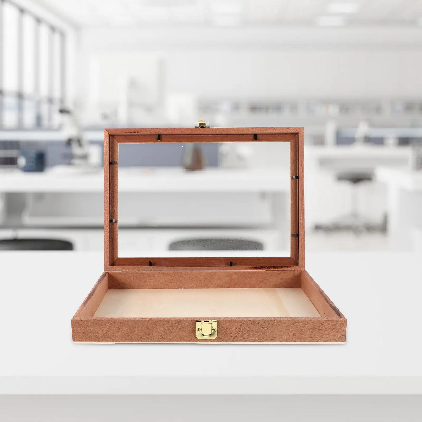 Rectangular Wooden Storage Box Natural Wood Transparent Display Case for Dried Flowers Butterfly Specimens Rustic Shadow