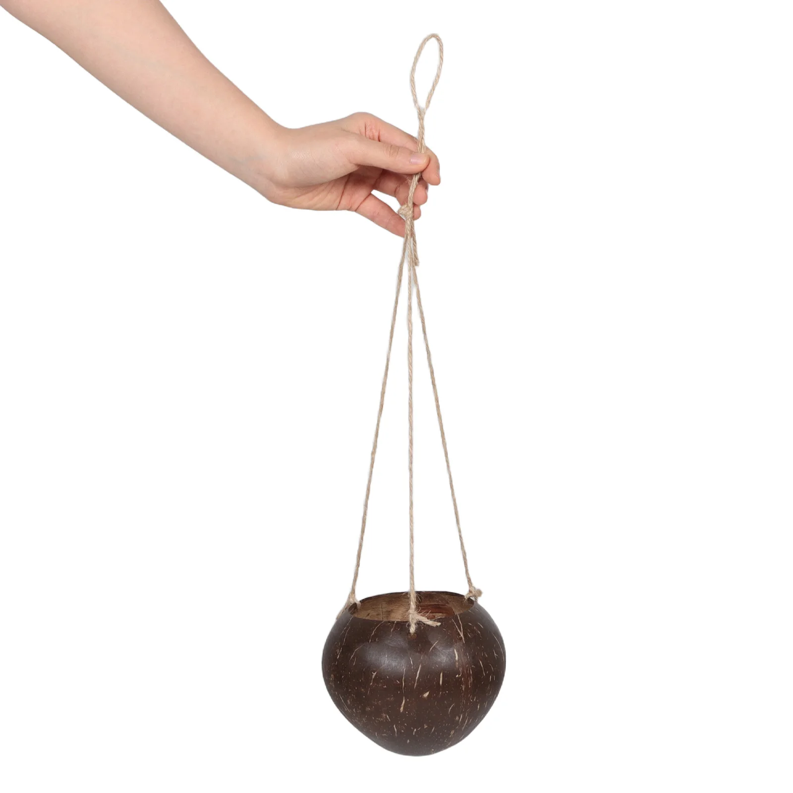 

Coconut Shell Hanging Planter Natural Material Breathing Design Spacesaving Ideal for Succulents Orchids Ferns Indoor Plants