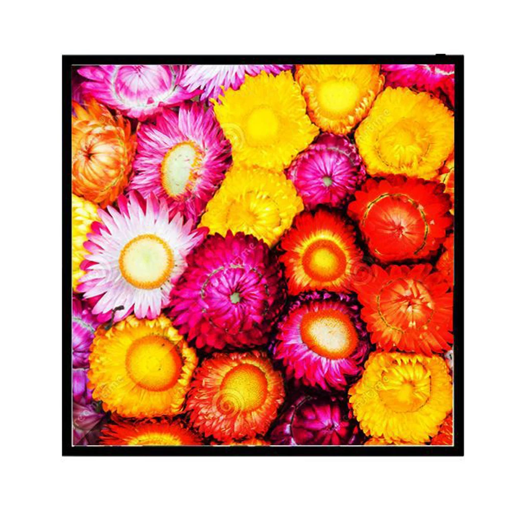 Bestview Differentsize 1:1 Ratio Square LCD display 44.5 Advertising Display