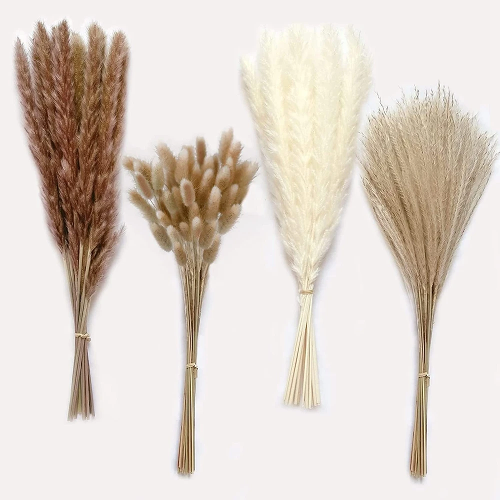 Dried Pampas for Decoration Fluffy Natural Tall Pampas Set 30-100Pcs Small Reed Dried Flowers Bouquet Boho Home Ramadan Decor