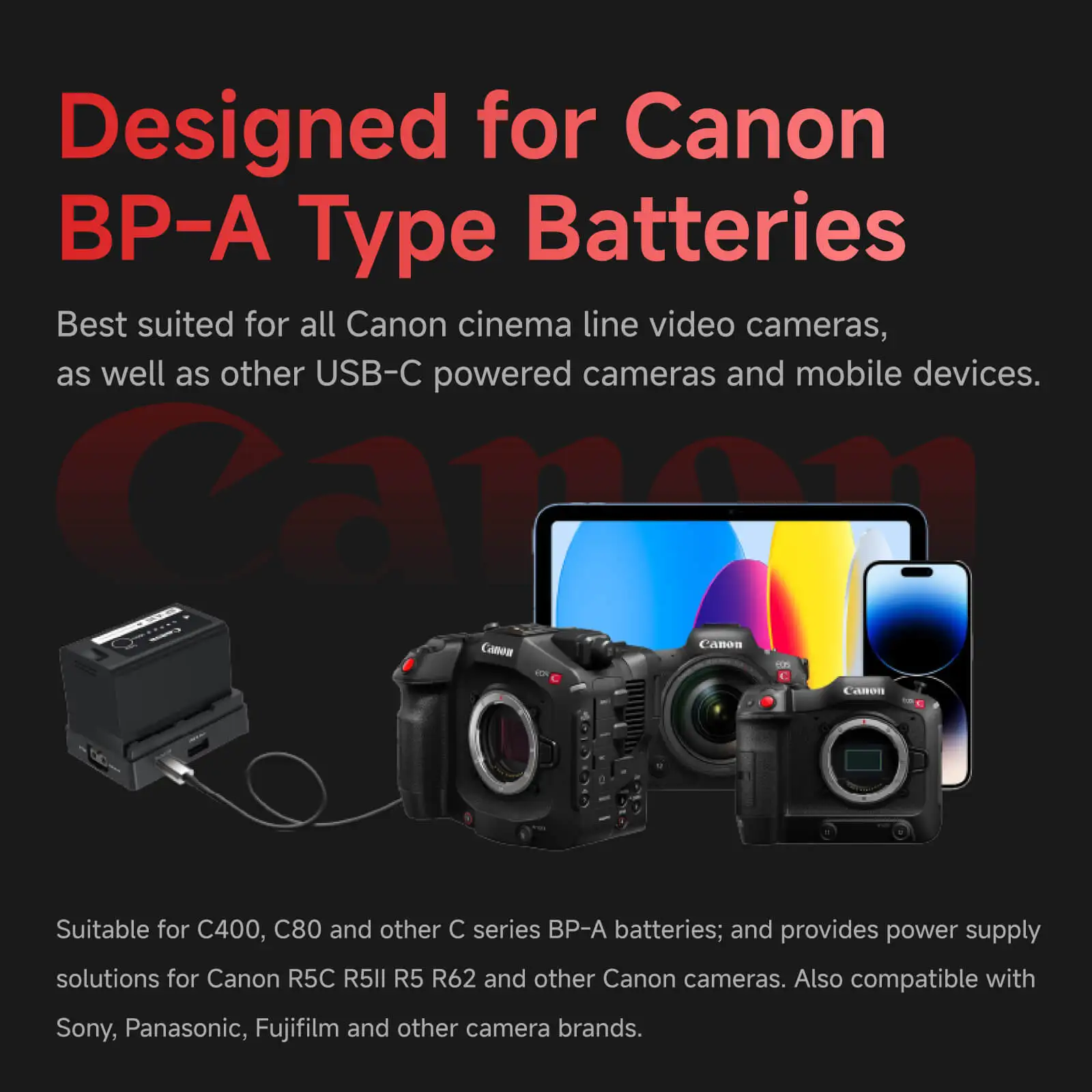 Accsoon TOPRIG BP-A Battery Plate for all Canon and  Qther USB-C Powered Cameras and Mobile Devices