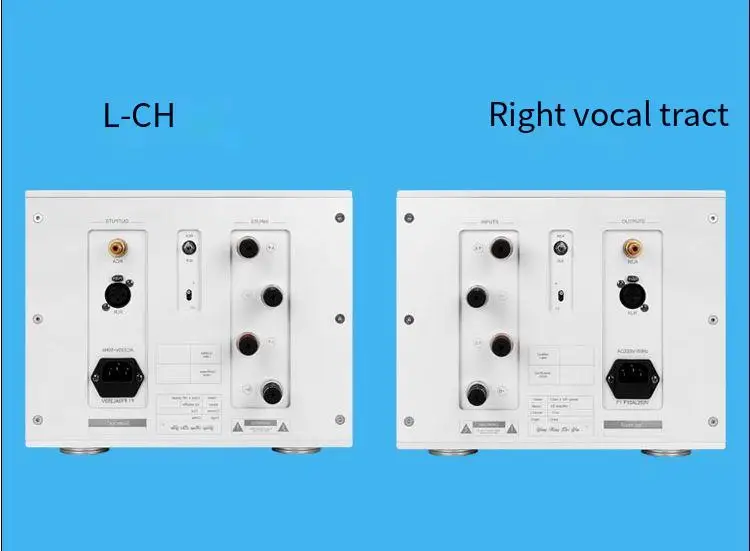 2PCS Mới X5 Mono Cao-Điện Chia Class A Tinh Khiết Phía Sau-Sân Khấu Âm Thanh HIFI Khuếch Đại Công Suất: 450W/8Ω Trở Kháng: 2-16Ω