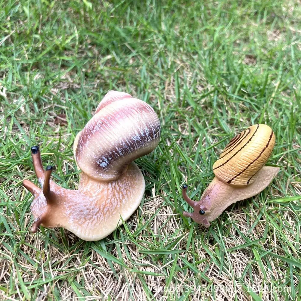 

Delicate Realistic Children's Cognitive Micro Landscape Education Simulation Insect Snail Statue Garden Decoration Snail Model