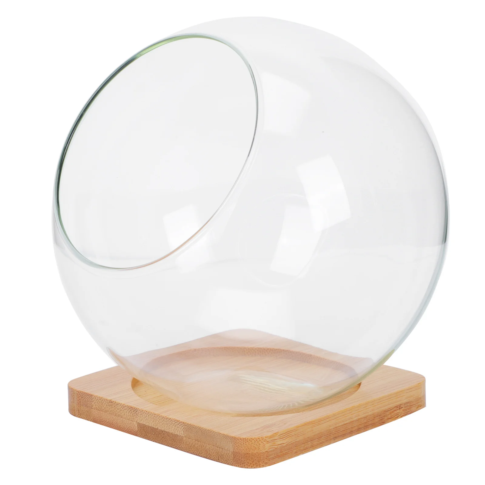 

1 Set Skewed Notch Glass Micro Landscape Bottles Durable Transparent Succulent Flowerpot Decorative Storage Vase Plant Container