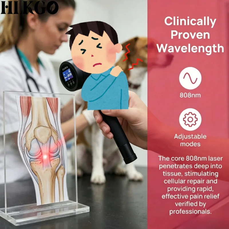 Professional 1295mW Laser Acupuncture Pen for Seniors Arthritis Knee Hip Joint Pain Relief Easy to Use Non-Invasive Home Care