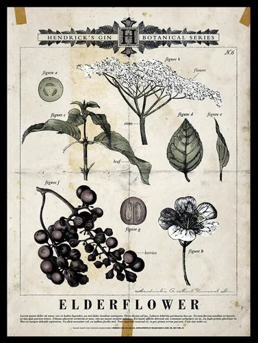 HENDRICKS GIN ELDERFLOWER Placa/letrero metálico retro, para pub, bar, o sala de juegos masculina