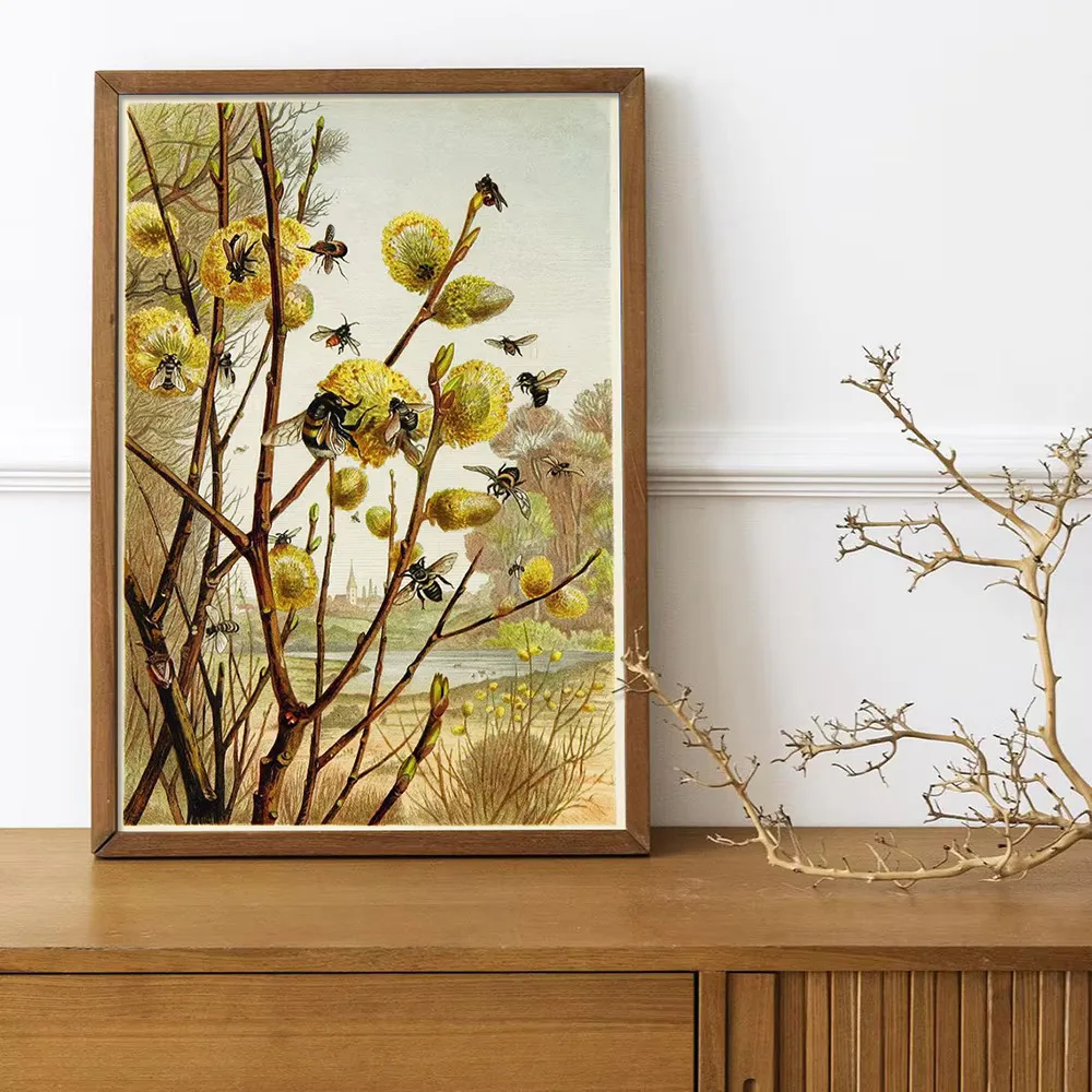 Impresión de póster de abeja vintage, pintura en lienzo de insectos naturales, diagrama de abeja botánica, imagen