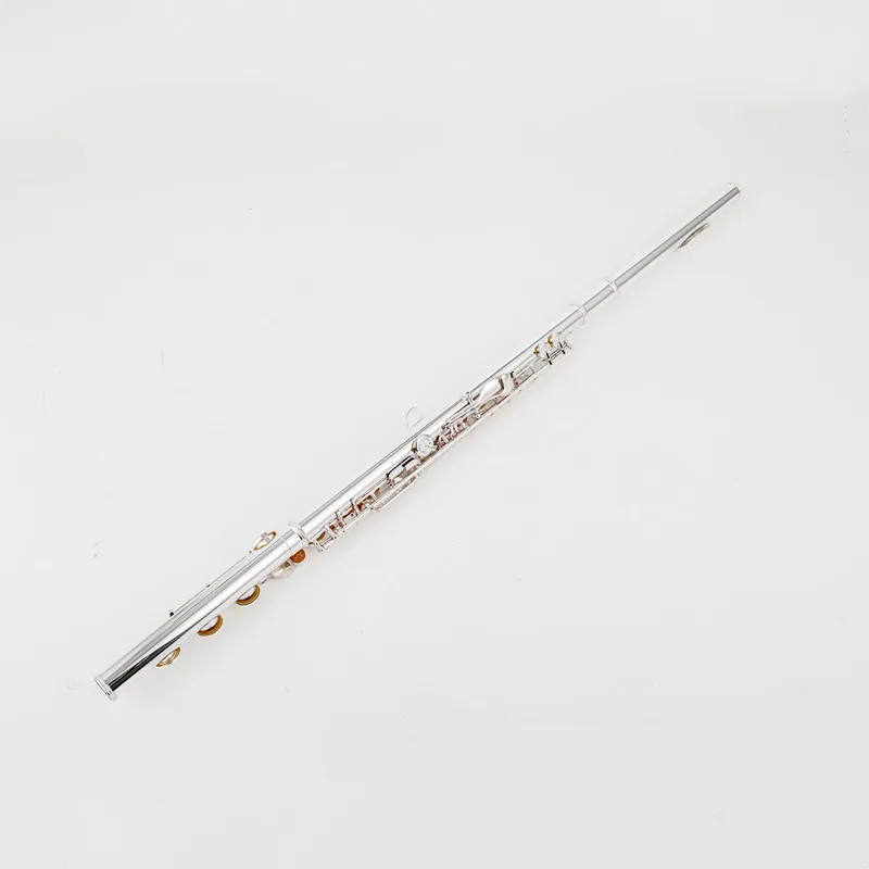 Thumbnail 3 - #20 New Flute Cases & Gigbags Arrivals