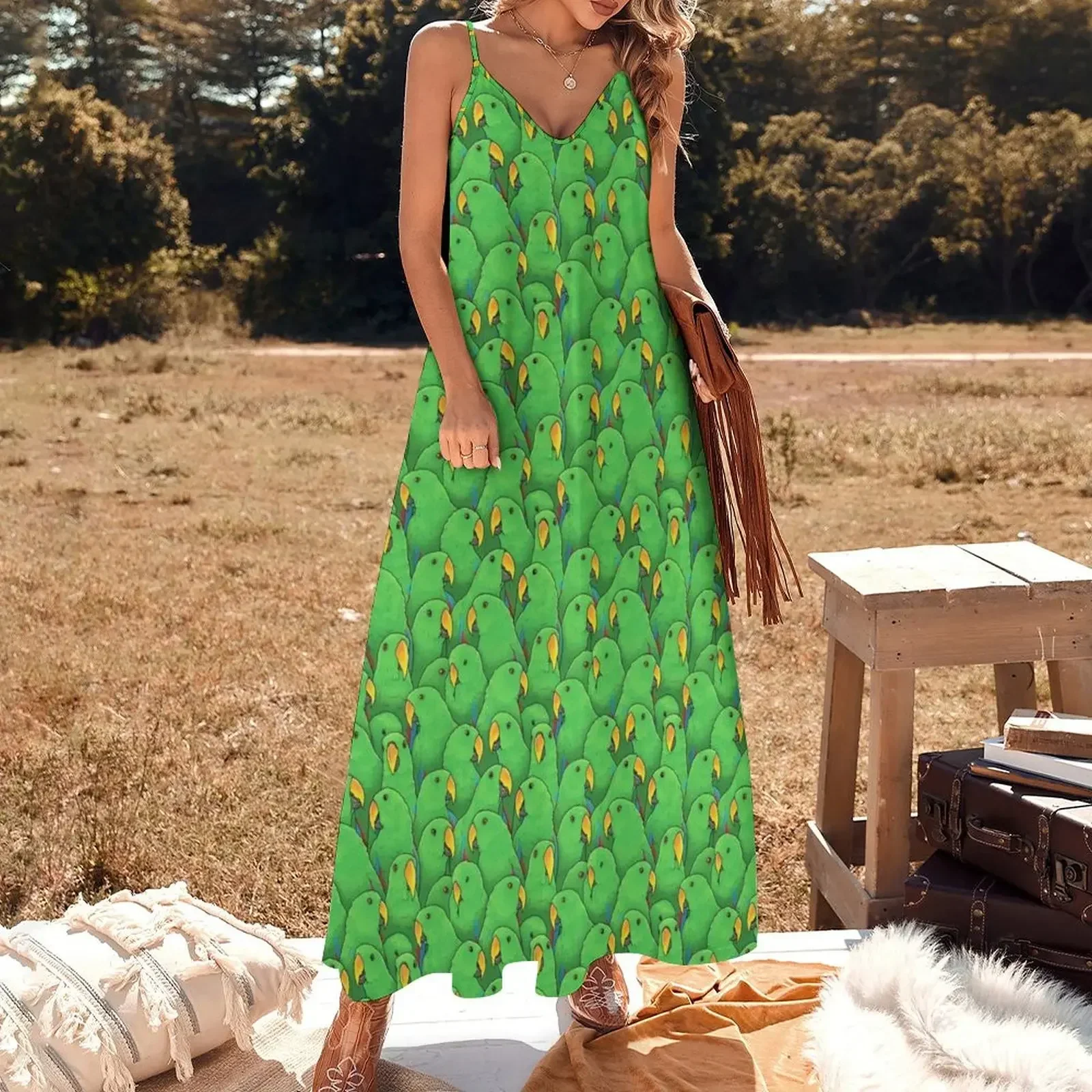 Male Eclectus Parrots Sleeveless Dress summer dresses for women 2025 women long dresses dresses with long sleeves Dress