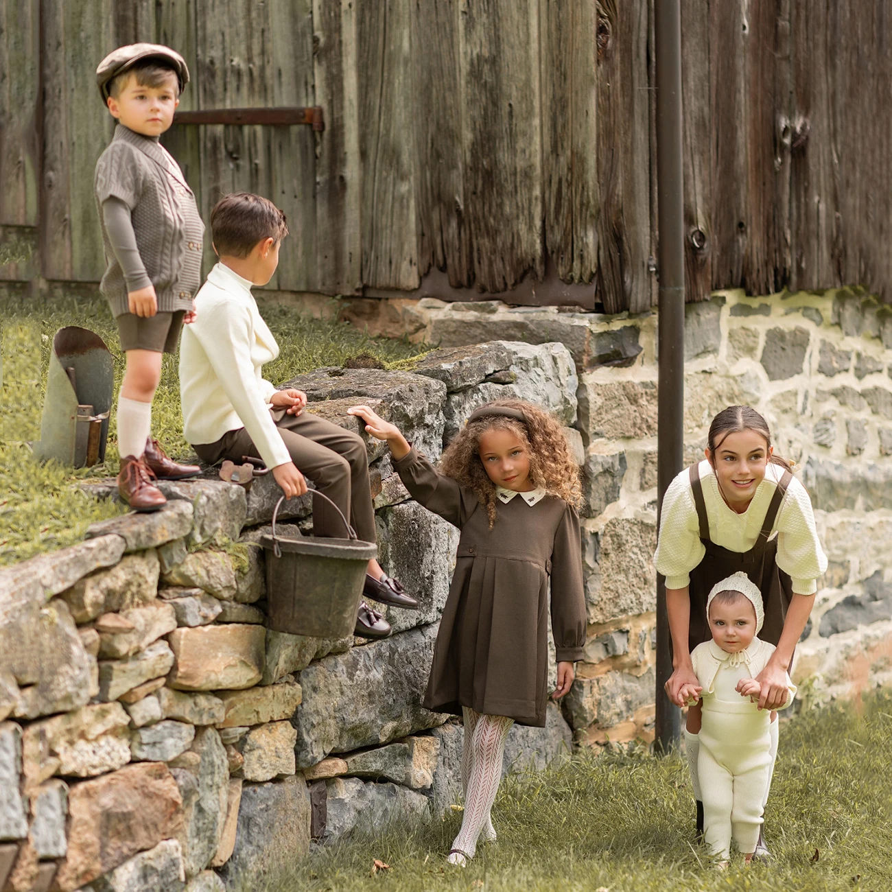 Рисунок 4 - Коллекция каштанов AP для коричневых